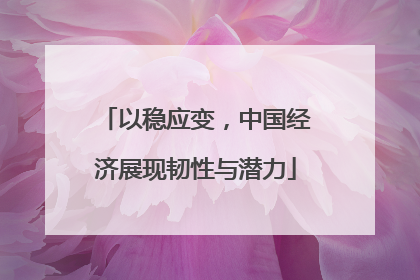 以稳应变，中国经济展现韧性与潜力